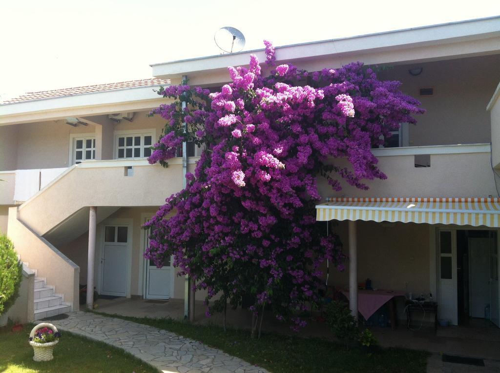 Apartments Ada Bojana Ulcinj Kamer foto