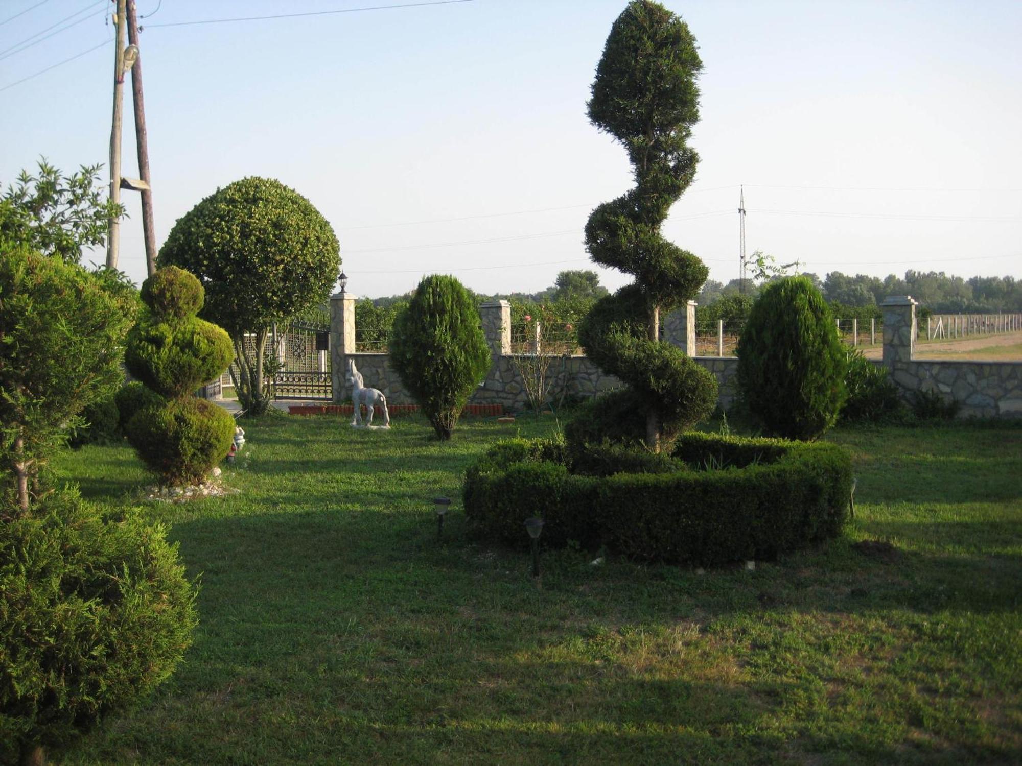 Apartments Ada Bojana Ulcinj Buitenkant foto